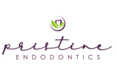 Prinstine Endodontics